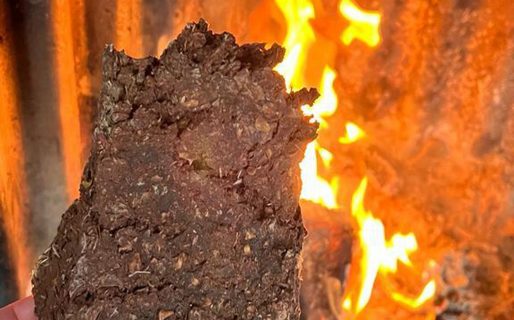 Bio troncos, el ingenioso invento de un argentino que reemplaza al carbón y a la leña