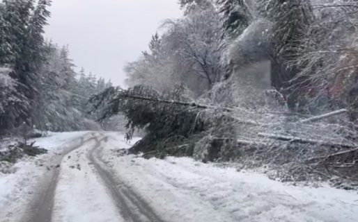 El Gobierno provincial trabaja en la reparación de postes y líneas eléctricas afectadas por el temporal de nieve en la Comarca Andina