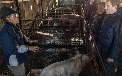 Luque: “Es fundamental potenciar con obras la producción local”