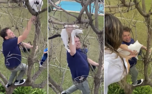 Bebe Contepomi arriesgó su vida para salvar al gato de su hija