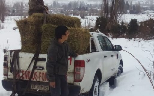 Provincia destinará 70 millones de pesos a municipios y comunas rurales afectadas por la contingencia climática