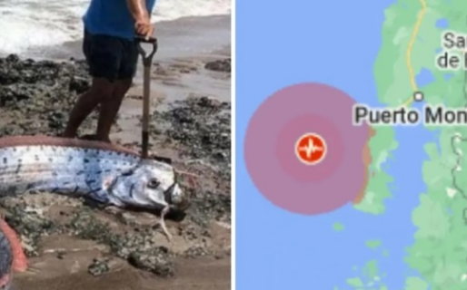 ¿Se cumplió el presagio? Apareció un pez remo y a las horas tembló Chile