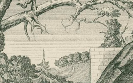 La Ilusión óptica que casi nadie resuelve