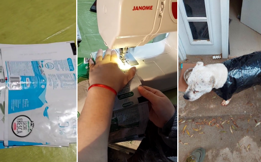 Reciclando sachets de leche usados y con mucha creatividad, fabricó un abrigo para una perrita de la calle