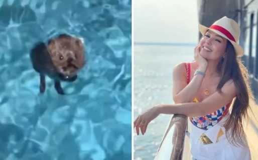 Thalía salvó a un ratón que se estaba ahogando en su piscina y el video se volvió viral