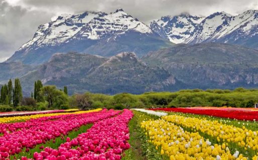 La colonización galesa y los orígenes del cooperativismo en la Patagonia