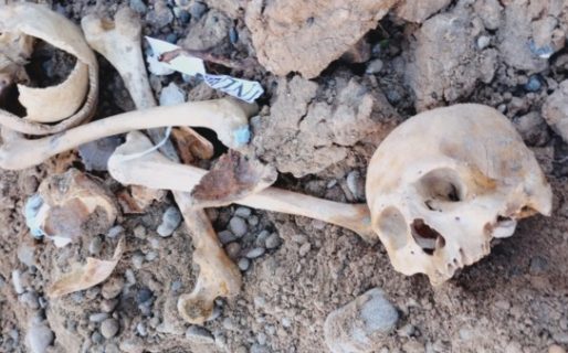 Macabro hallazgo: encontraron cráneos humanos al costado de una ruta chubutense