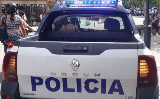 Una mujer acusó a su vecino de haber matado a sus perros y le desfiguró la cara a cuchillazos