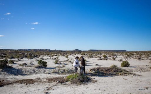Este sábado se realizará una jornada de plogging inclusivo en la plaza Soberanía
