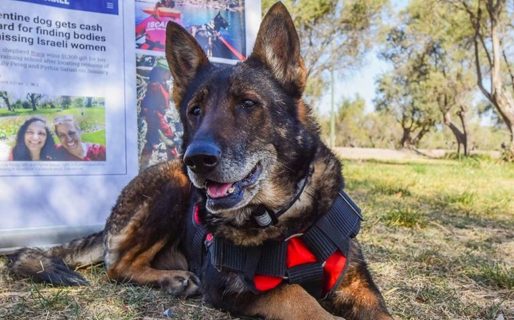 Murió Ruca, la perra guía que ayudó a resolver el doble crimen que cometió el “Hombre Gato” en Mendoza
