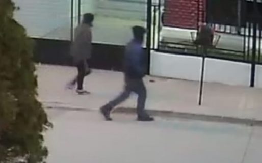 Captaron a dos delincuentes ‘tanteando’ portones para entrar a robar