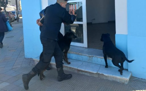 Sustrajo una campera de una tienda y terminó arrestado