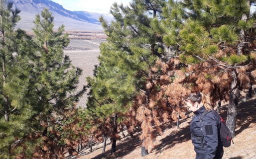 La Policía del Chubut continúa la búsqueda de José Crettón en la Comarca Andina