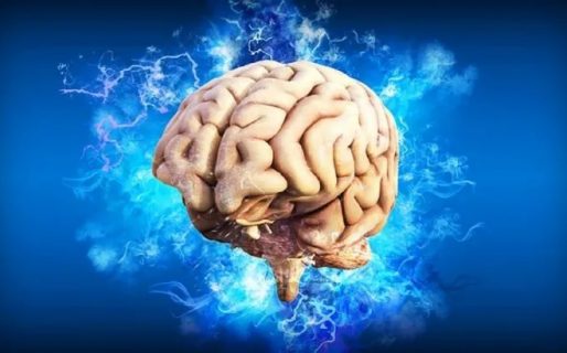 Estos son los 5 peores alimentos que afectan al cerebro