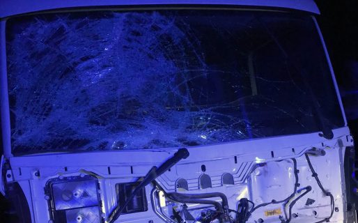 Dos caballos sueltos fueron embestidos por una traffic en Ruta 26