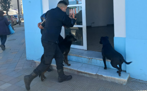 Un joven robó una campera de mujer, fue detenido e ingresó a la comisaría escoltado por dos perros