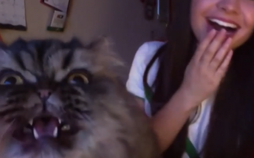 Practicaba ópera cuando su gato la interrumpió para sumarse cantando