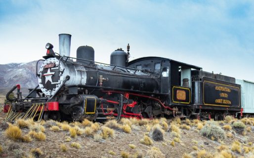 «La Trochita» promociona sus 100 años con actividades en el Valle