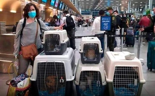 Se mudó del país, se llevó a todas sus mascotas y su foto emociona en las redes