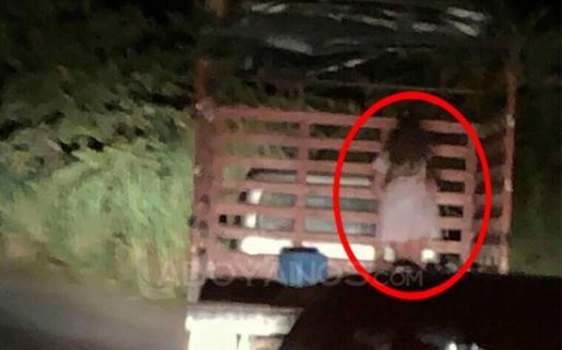 Viajaba por la ruta y captó a una “nena fantasma” colgada de un camión