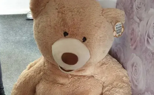 Robó un auto y se escondió en un peluche para que la Policía no lo encuentre