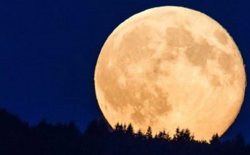 La última Superluna del año: cuándo podrá verse en Argentina