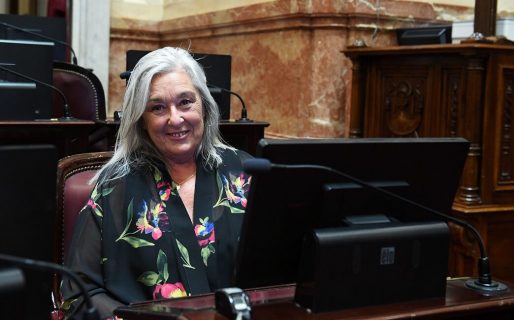 Terenzi: «La clase política no puede pensar en destituir al presidente y menos en este momento»