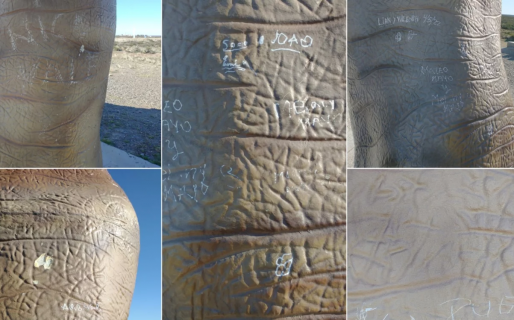 Rayaron el dinosaurio de Trelew
