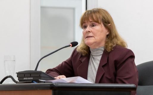 “Lo que se pretende es que haya una sola categoría de taxis”