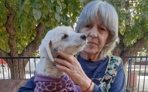 “No tienen perdón de Dios”: es jubilada, quiso pedir un préstamo para rescatar perros y le vaciaron la cuenta