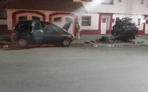 Manejaba borracho e impactó contra un árbol