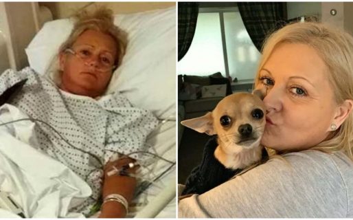 Su chihuahua le defecó en la boca mientras dormía la siesta y tuvo que ser internada: “Aún lo amo”