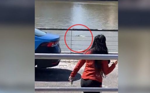Insólito: estaba esposado y se tiró al dique en Puerto Madero para escapar de la Policía