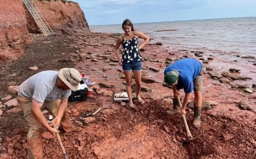 Sacó a pasear a su perro y halló el fósil de un animal anterior a los dinosaurios