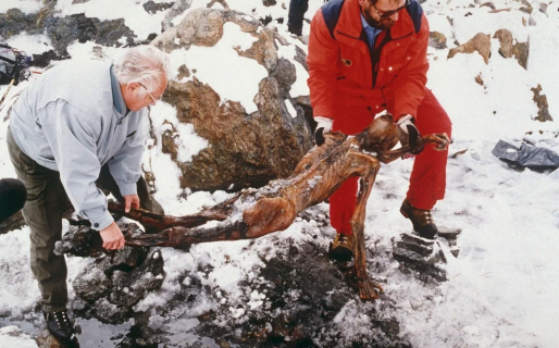 Cómo se develó el misterio del “hombre de hielo” que tenía 61 tatuajes y fue asesinado hace más de cinco mil años
