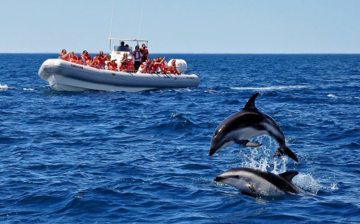 Fin de semana XXL: En Chubut los niveles de ocupación hotelera superaron el 50%