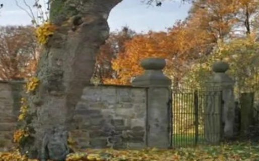 Reto de máxima concentración: ¿Podés encontrar a la mujer camuflada en esta foto en solo siete segundos?