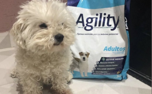 Ofrecen cambiar un perro por figuritas del Mundial de Qatar