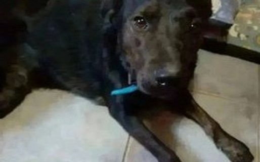 Buscan a Rodolfo en Zona Norte