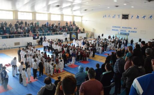 Se disputará la 8va. Copa “Ciudad de los Vientos” de Taekwondo