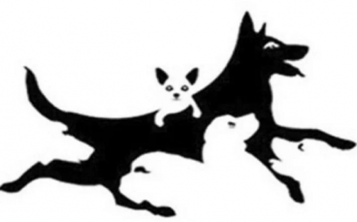 Test: ¿Cuántos perros ves en la imagen?, el reto visual que revela tu edad mental