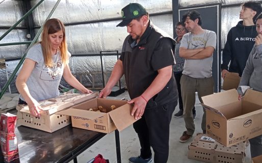 Comodoro continúa invirtiendo en la producción local