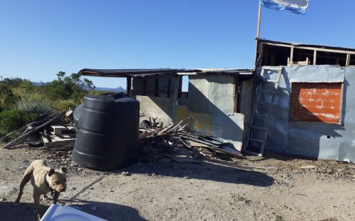 Allanamiento por un can maltratado