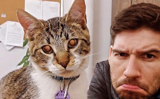 Un profesor da sus clases con un gato en su hombro para concientizar sobre el respeto a los animales