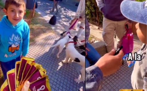 «Se está viendo con una chica»: Un niño escrachó a su papá por figuritas del Mundial