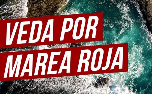 Hay veda por marea roja en Rada Tilly