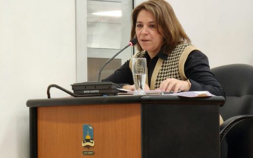 Pedirán informes a Defensa del Consumidor por ordenanza que prohíbe golosinas en línea de cajas