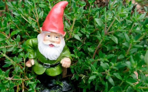 Estaban drogados y secuestraron un enano pensando que se trataba de un duende