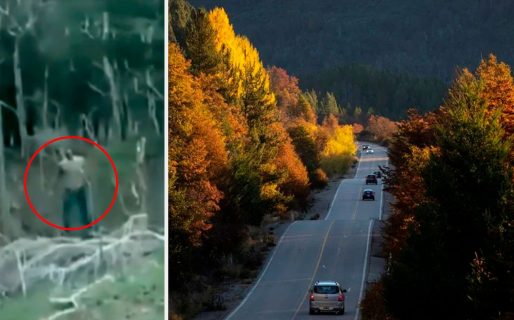 Un hombre manejaba por la ruta, vio algo extraño y prendió la cámara: “Era un zombie que me quería comer”