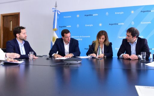 Luque se reunió con la secretaria de Energía de la Nación, Flavia Royón